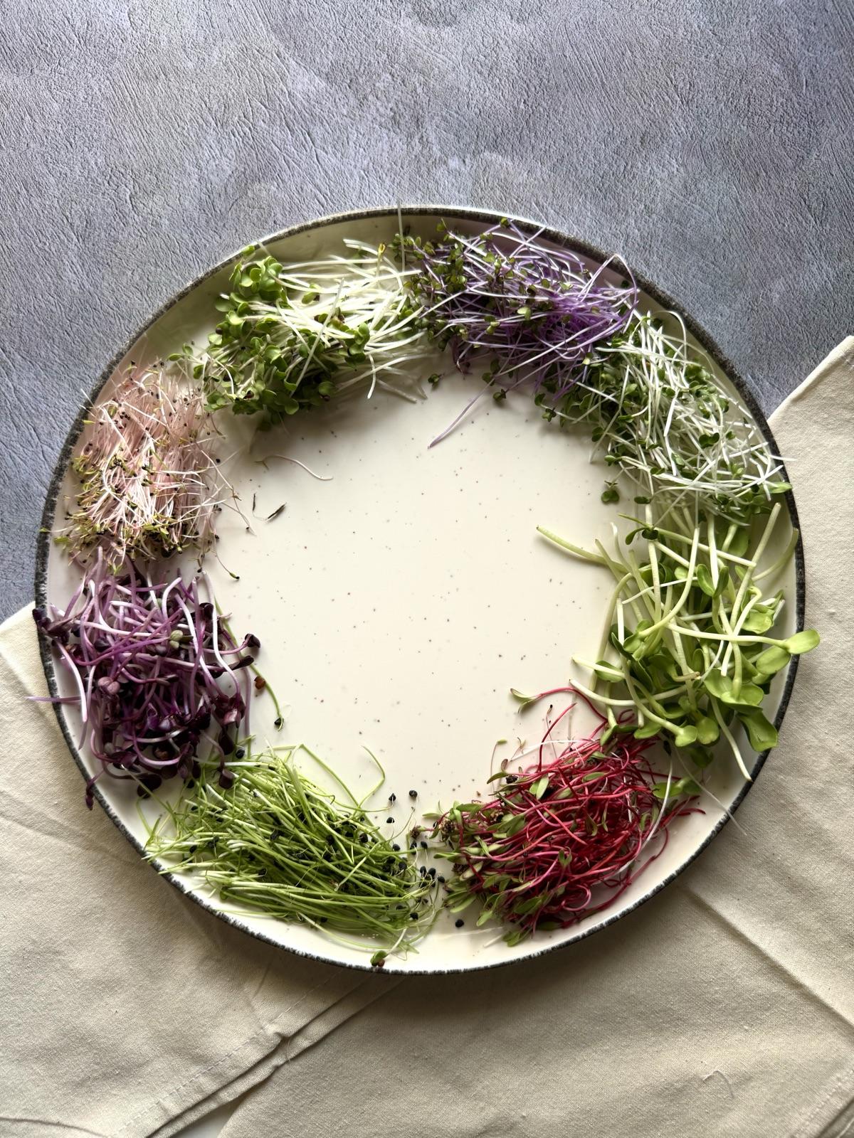 A plate arranged with many microgreen varieties